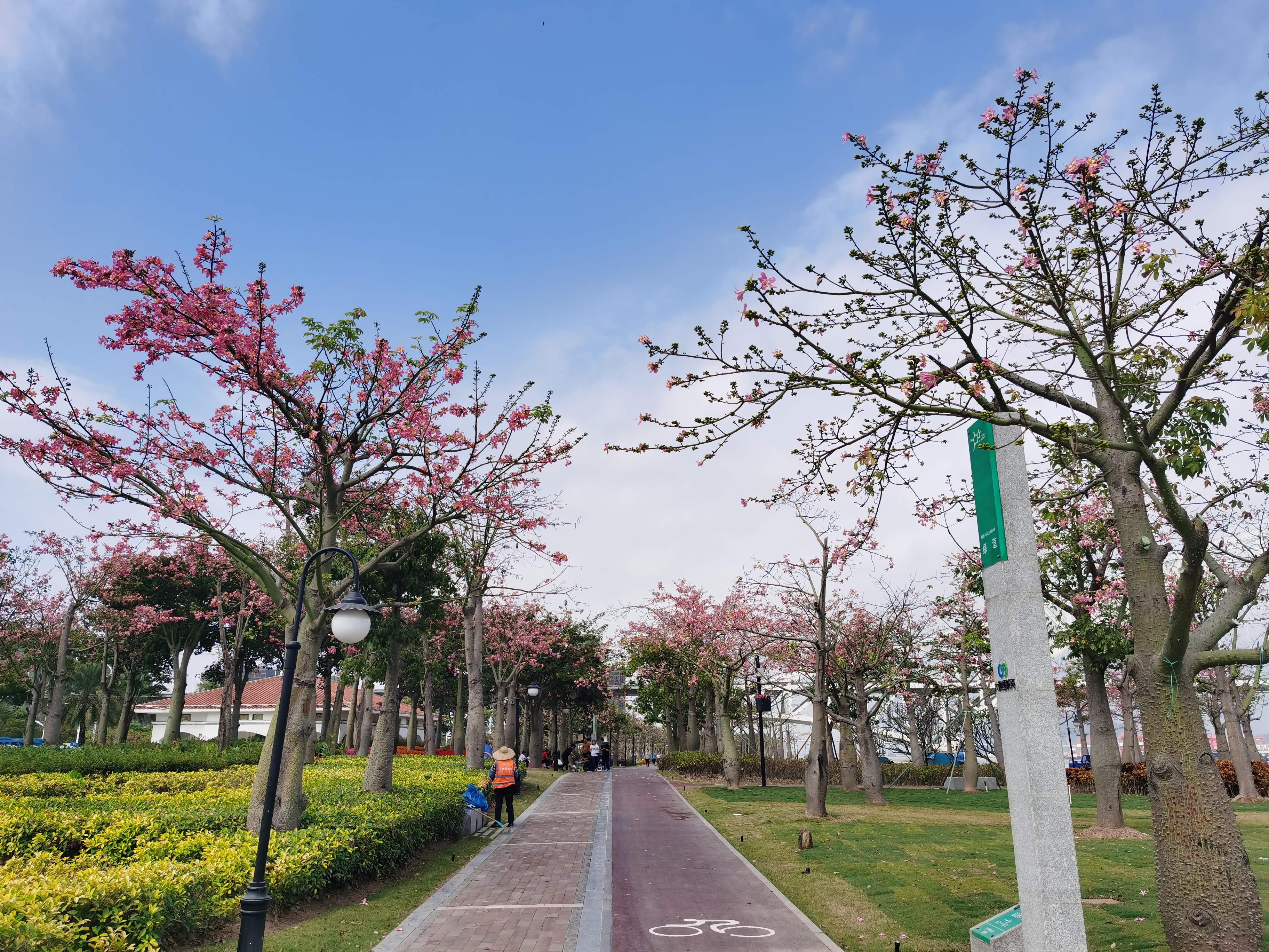 花海長廊