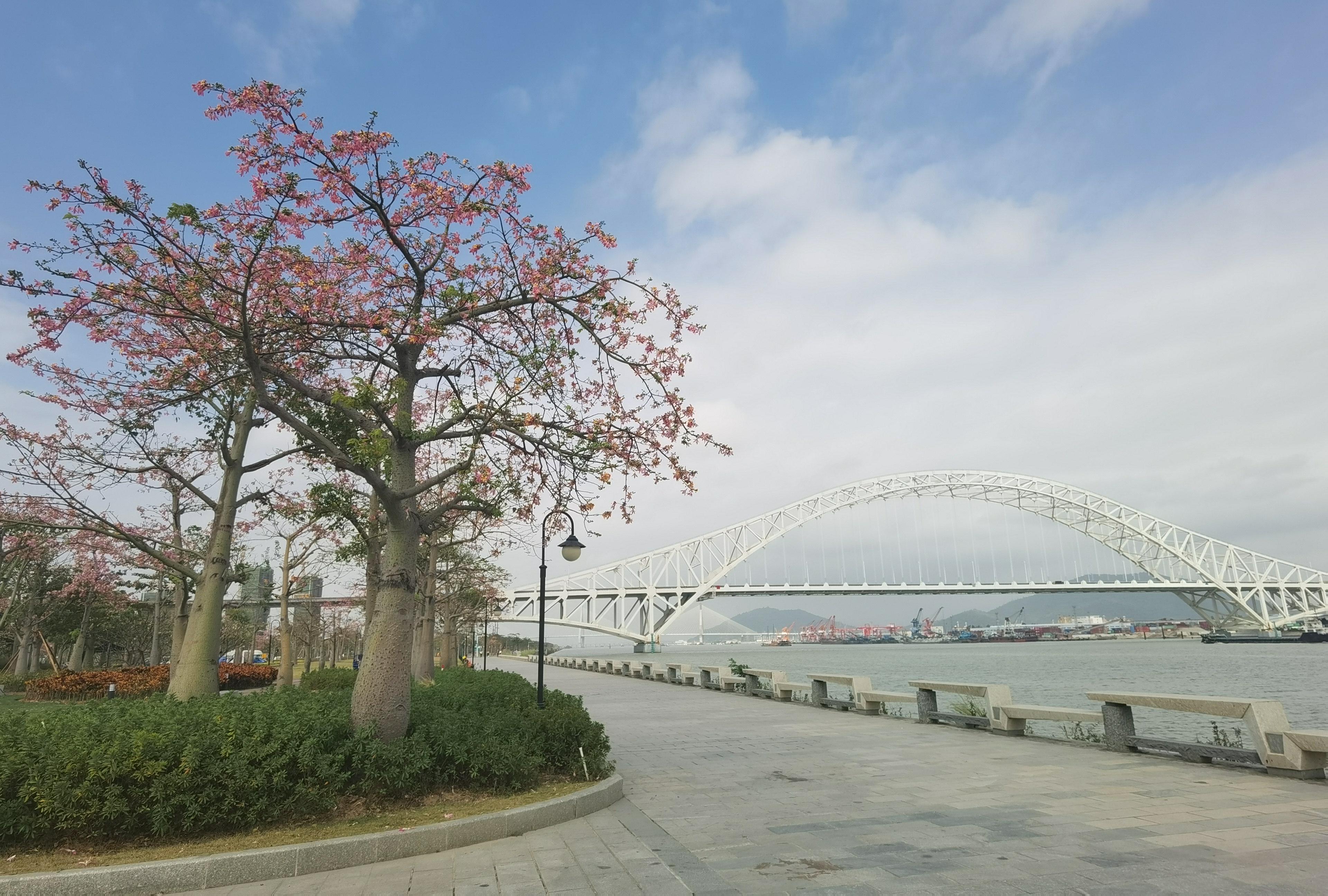 橫琴二橋