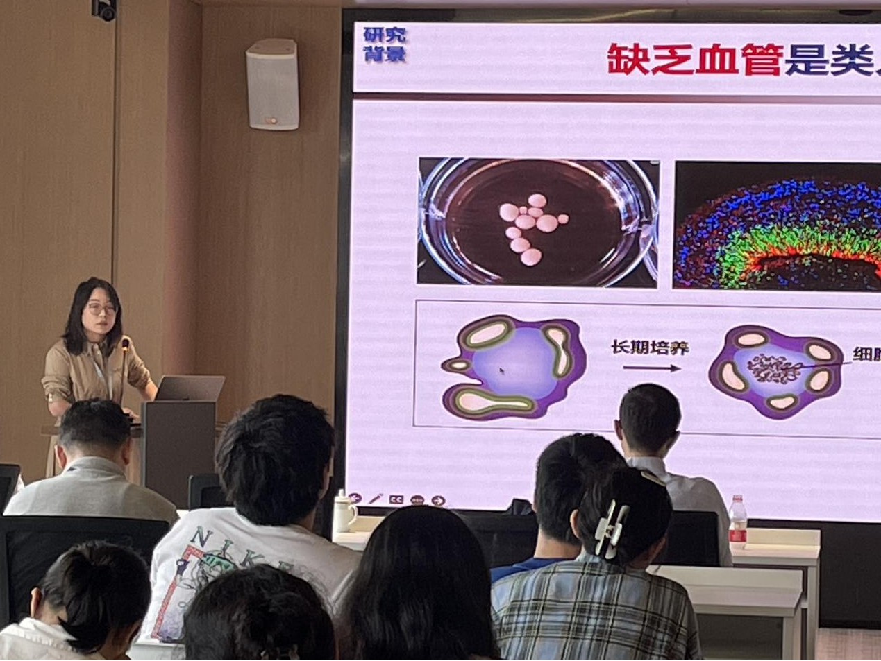 1697781979146135.jpg 圖片3.jpg