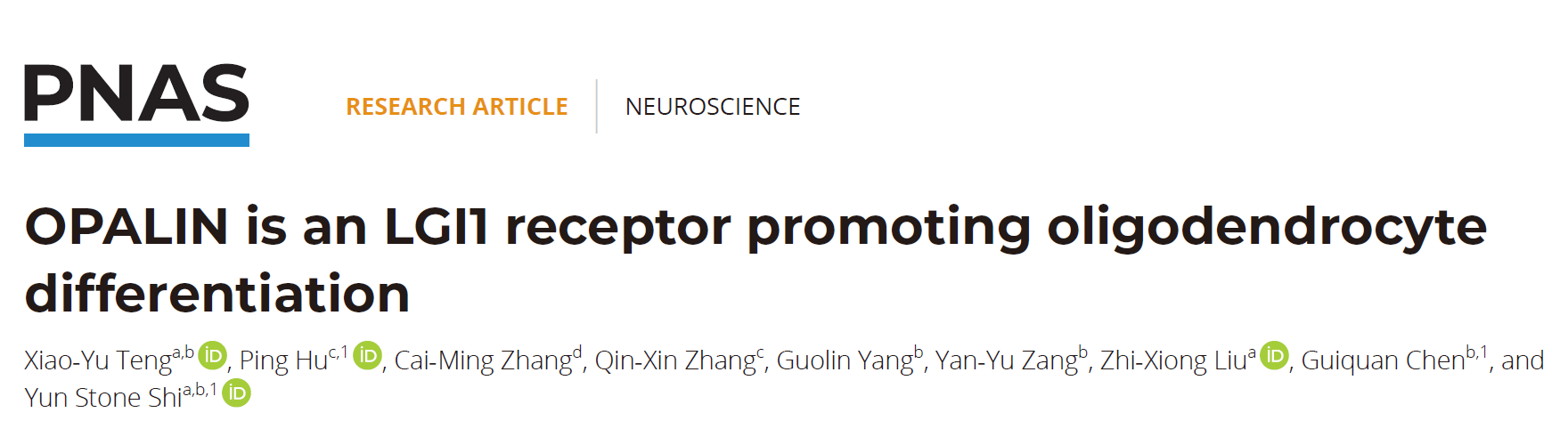 PNAS | 廣東省智能院石云團隊發(fā)現(xiàn)癲癇相關(guān)蛋白調(diào)控髓鞘發(fā)育的新機制