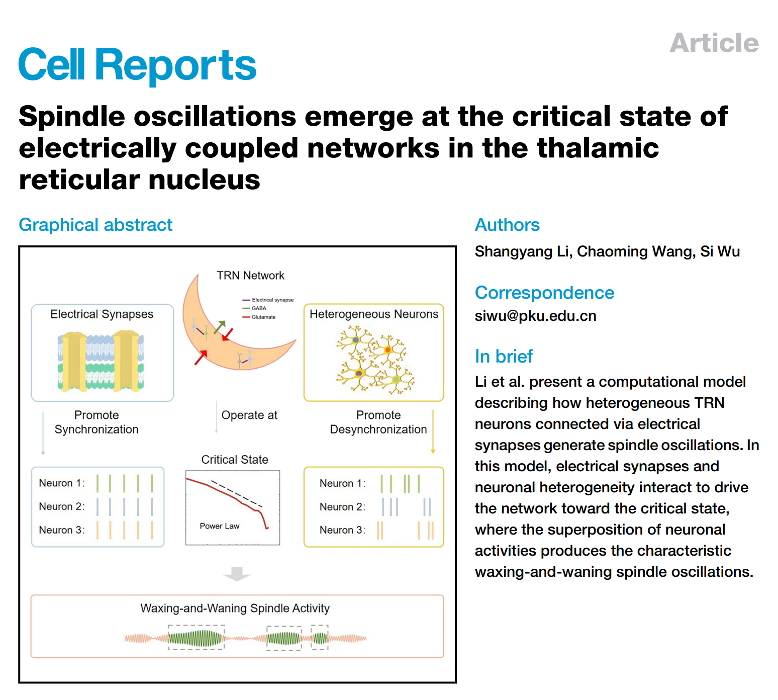 Cell Reports | 廣東省智能院神經(jīng)醫(yī)學(xué)大模型智能聯(lián)合實驗室和吳思特聘研究員團隊發(fā)現(xiàn)睡眠紡錘波全新生成機制