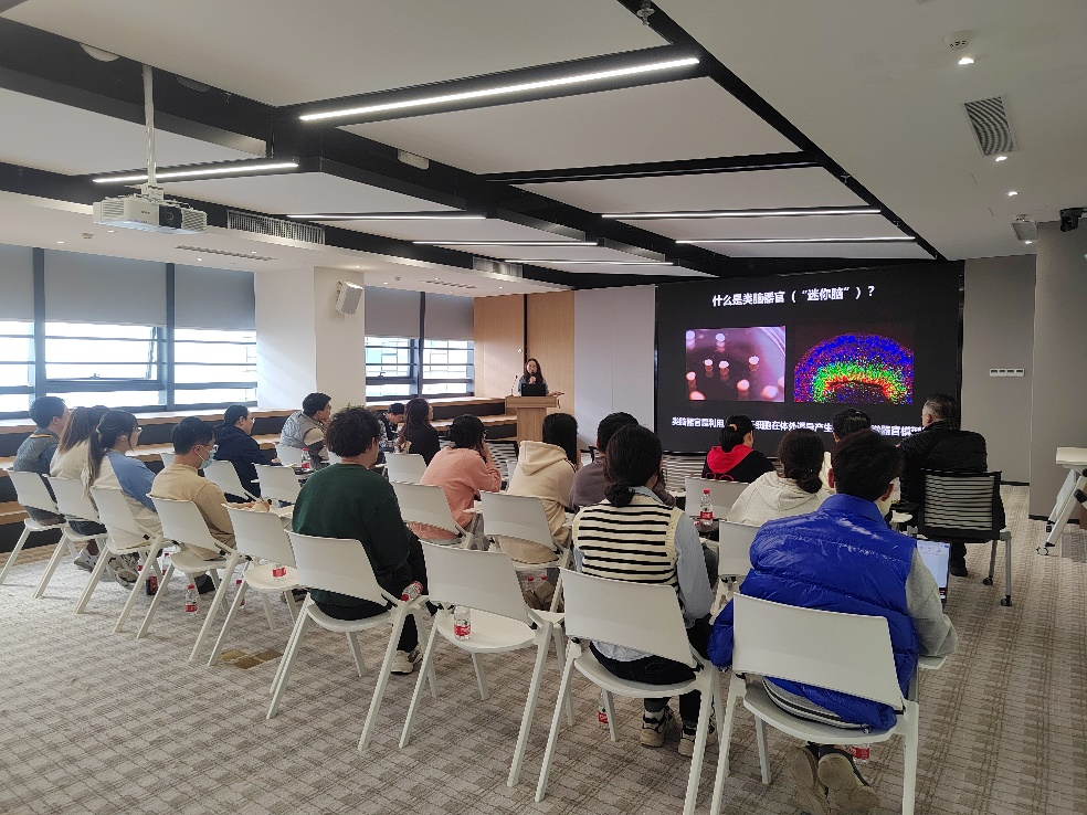 “科學(xué)研究技術(shù)與方法”系列課程第十五講：類腦器官培養(yǎng)技術(shù)淺析